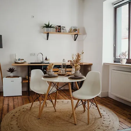 I Gemuetliches 1-zimmer-apartment & Eigenes Bad I Апартаменты Кобленц