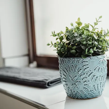 I Gemuetliches 1-zimmer-apartment & Eigenes Bad I * コブレンツ