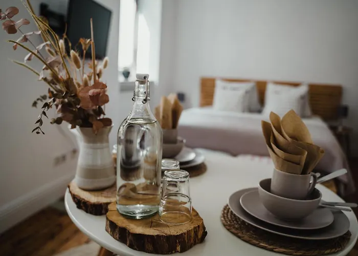 Daire I Gemuetliches 1-zimmer-apartment & Eigenes Bad I Koblenz (Rhineland-Palatinate)