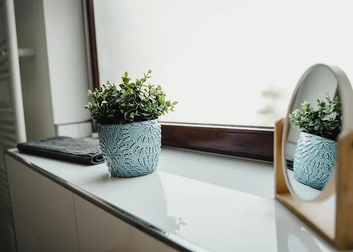 I Gemuetliches 1-zimmer-apartment & Eigenes Bad I * Koblenz (Rhineland-Palatinate)