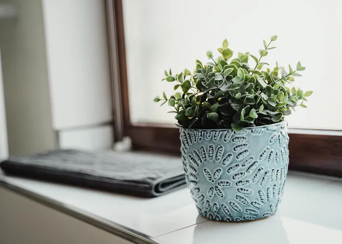 I Gemuetliches 1-zimmer-apartment & Eigenes Bad I * Koblenz (Rhineland-Palatinate)